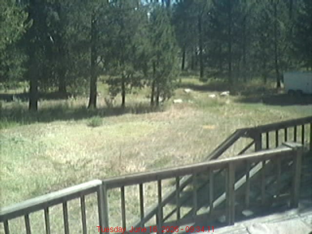 another view.