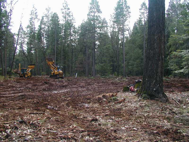 building site 1/27/03